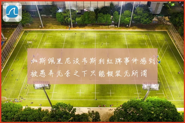 加斯佩里尼谈韦斯利红牌事件感到被愚弄无奈之下只能假装无所谓